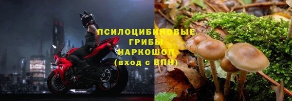 каннабис Осинники