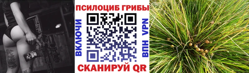 Купить  Ряжск  Псилоцибиновые грибы мухоморы 